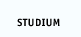 Studium